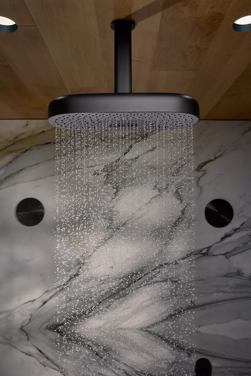 Kohler Rainheads