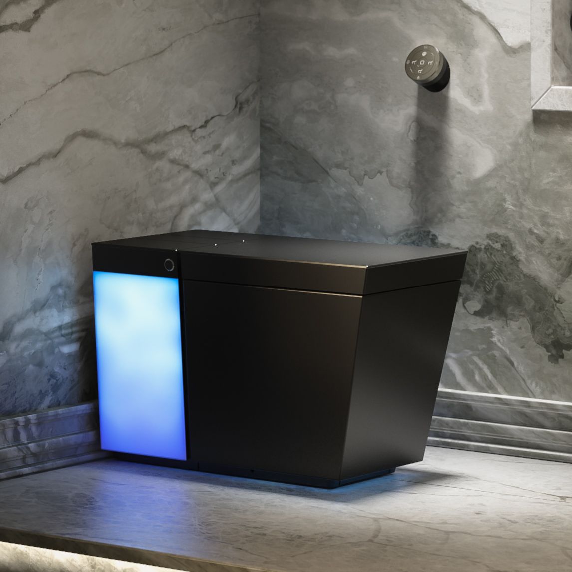Smart Toilet